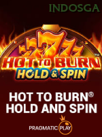 Hot To Burn Hold And Spin game cover